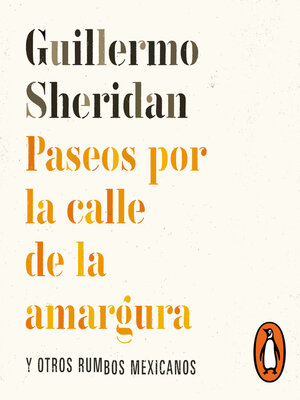 cover image of Paseos por la calle de la amargura